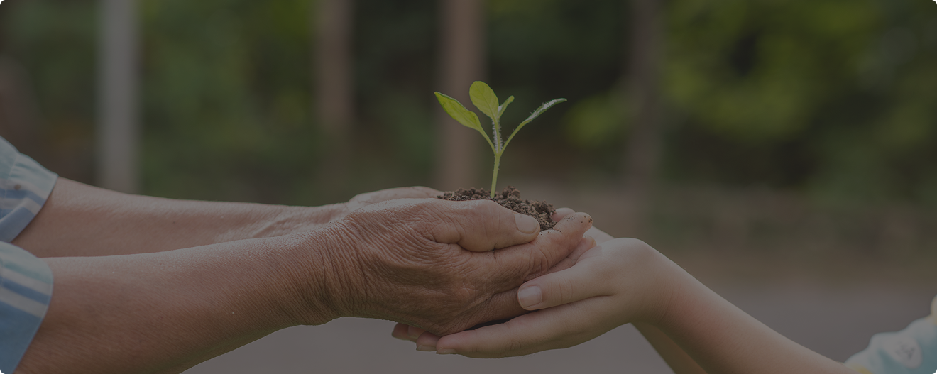 مؤسسة البيان